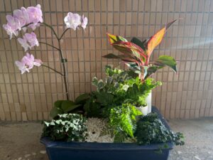 Read more about the article 十二號作品