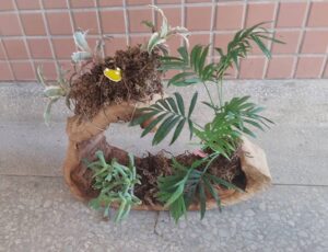 Read more about the article 二號作品