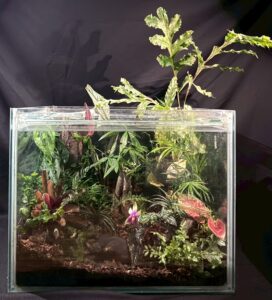 Read more about the article 四號作品