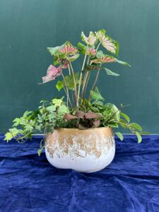 Read more about the article 五號作品