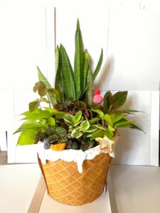 Read more about the article 六號作品