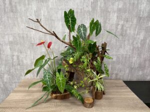 Read more about the article 九號作品